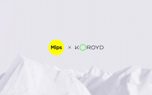 Mips-KOROYD